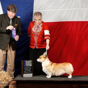 Meet your Posher, Lora